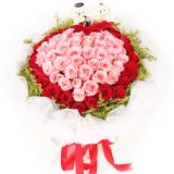 ֶʻٵ